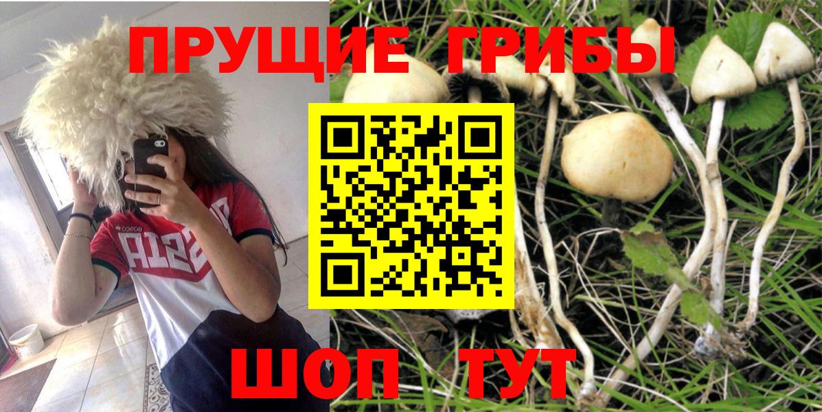 Саянск  Псилоцибиновые грибы ЛСД  Галлюциногенные грибы Cubensis  Вход с VPN 